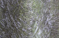 Rudyard fibreglass roof work