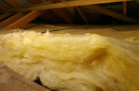 Rudyard pitch roof insulation